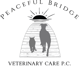 Logo for "Peaceful Bridge Veterinary Care P.C." features a cat and dog walking side by side on a wooden bridge toward a sunrise or sunset, capturing the compassionate spirit of your local veterinarian. The business name is displayed above and below the image.
