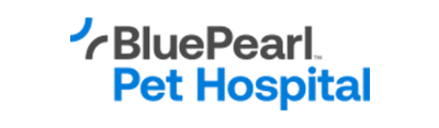 Logo featuring the word "Accenture" in black lowercase letters with a greater-than symbol above the "t" and the tagline "High performance. Delivered." in blue text underneath—a design as precise as a skilled veterinarian or vet.