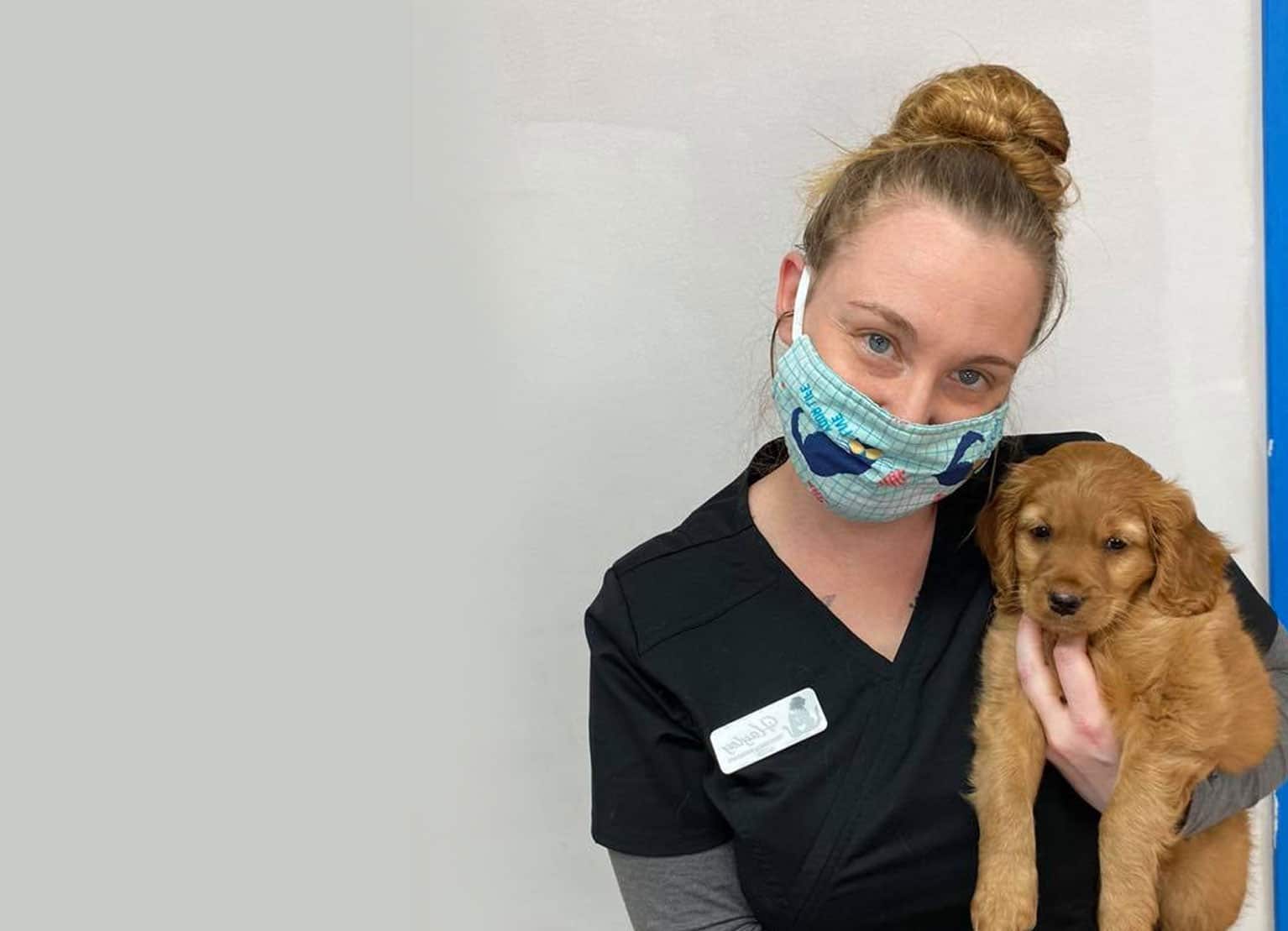 A veterinarian in black scrubs, wearing a blue patterned face mask, holds a small, fluffy brown puppy. The background is plain with a greyish tone on the left side.