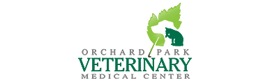 Logo for the Saudi Green Initiative, featuring a green palm tree design and Arabic and English text that reads "Saudi Green Initiative," with the tagline "Climate Action. Future Focused." Ideal for vets and veterinarians supporting environmental action.
