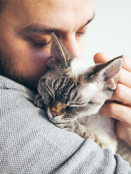 A bearded veterinarian gently hugs a gray and white cat, both with their eyes closed, creating a peaceful and affectionate moment.