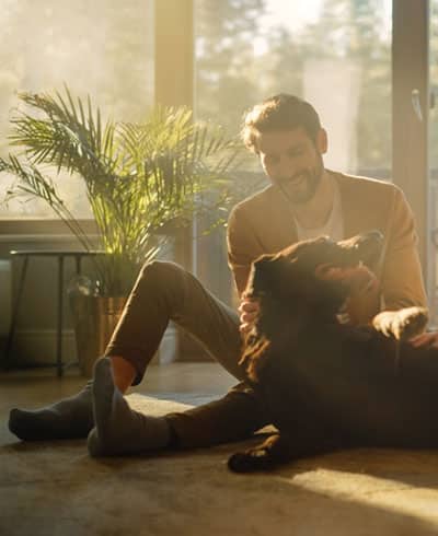 A veterinarian sits on the floor in a sunlit room, smiling and petting a happy black dog. A large green potted plant and a window with sunlight streaming through are in the background.