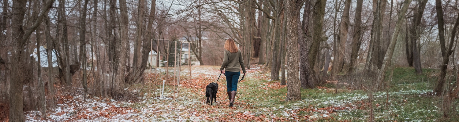 A woman, who is a veterinarian, walks a black dog along a leaf-covered path through a forest with bare trees and patches of snow on the ground.