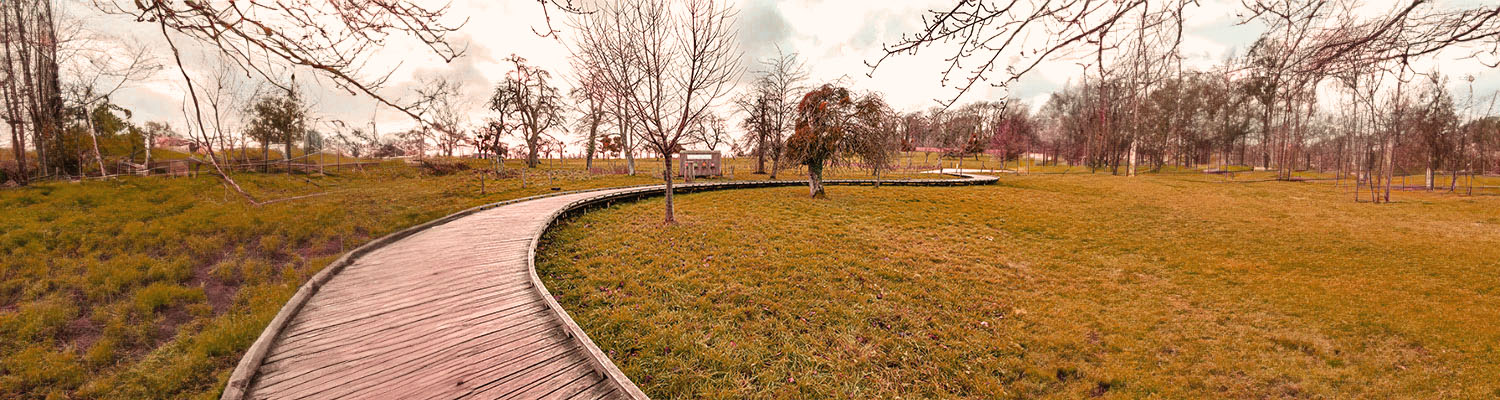 A wooden boardwalk curves through an open grassy park with scattered leafless trees under a cloudy sky. The calm, expansive landscape is perfect for a vet to enjoy a peaceful stroll after caring for animals, with buildings visible in the distant background.